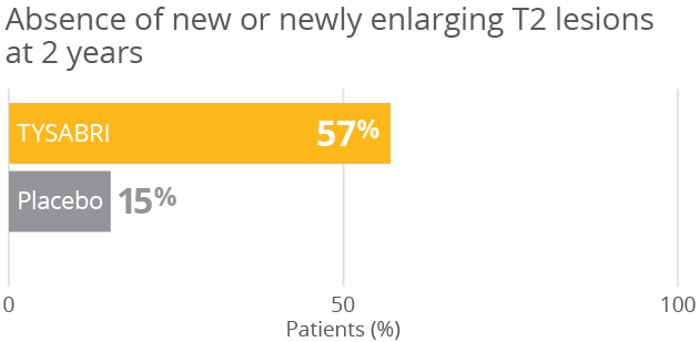 Secondary endpoints T2 lesions chart